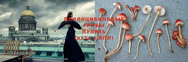 соль курить ск Алексин
