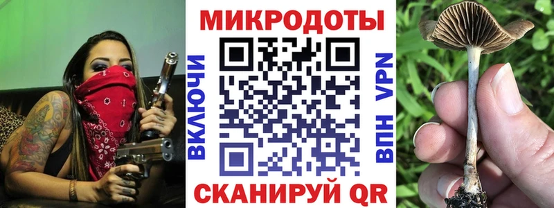 Псилоцибиновые грибы Psilocybine cubensis  купить  сайты  kraken ссылки  Кола 